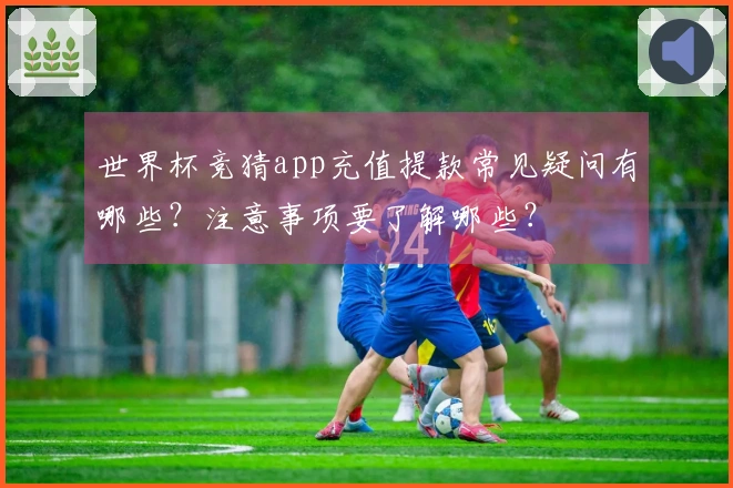 世界杯竞猜app充值提款常见疑问有哪些？注意事项要了解哪些？