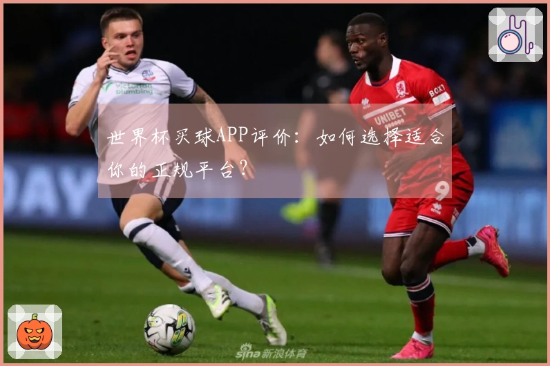 世界杯买球APP评价：如何选择适合你的正规平台？