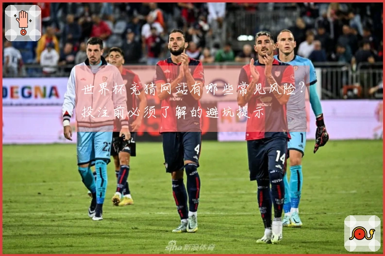 世界杯竞猜网站有哪些常见风险？投注前必须了解的避坑提示