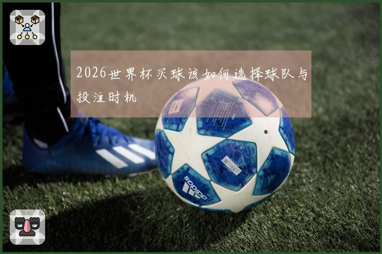 2026世界杯买球该如何选择球队与投注时机