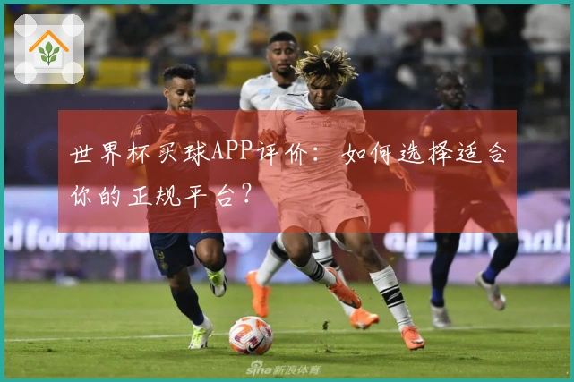 世界杯买球APP评价：如何选择适合你的正规平台？