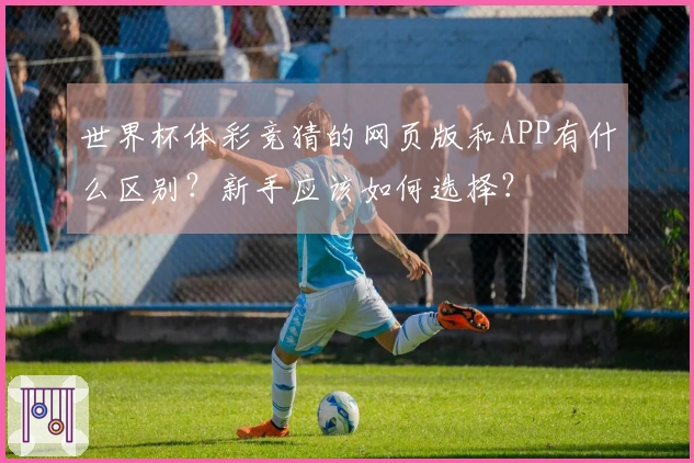 世界杯体彩竞猜的网页版和APP有什么区别？新手应该如何选择？
