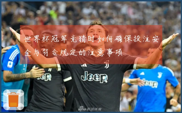 世界杯冠军竞猜时如何确保投注安全与符合规定的注意事项