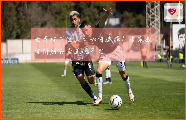 世界杯下注入口如何选择？专家教你辨别安全正规平台