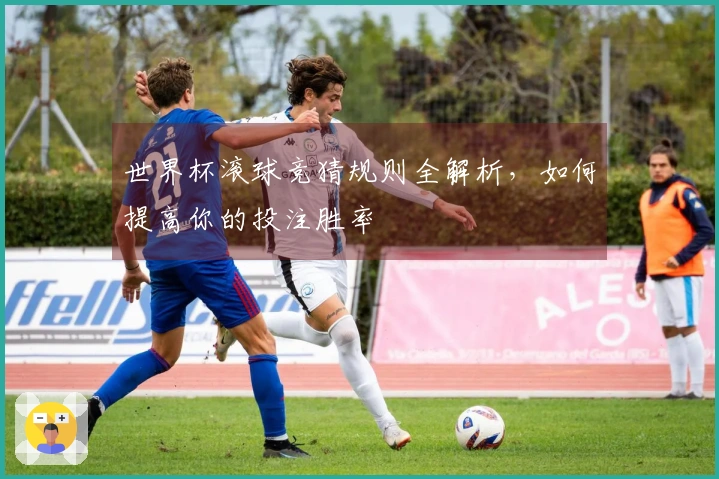 世界杯滚球竞猜规则全解析，如何提高你的投注胜率