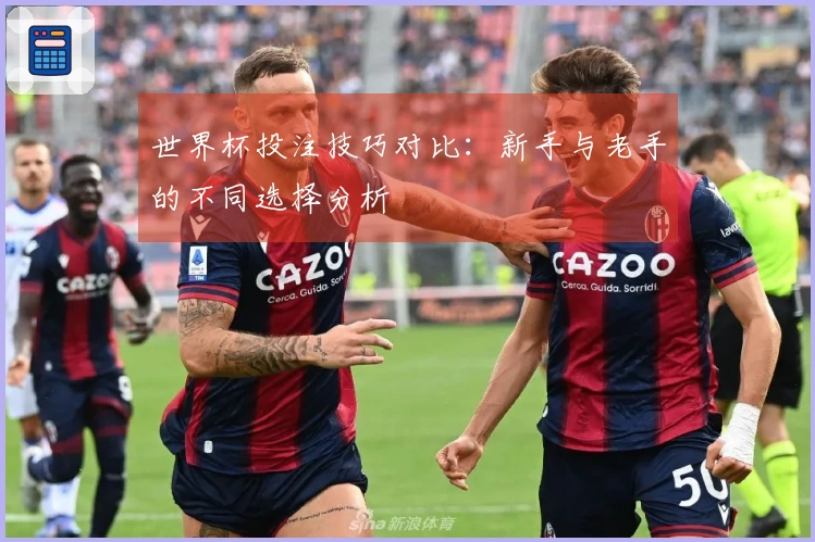 世界杯投注技巧对比：新手与老手的不同选择分析