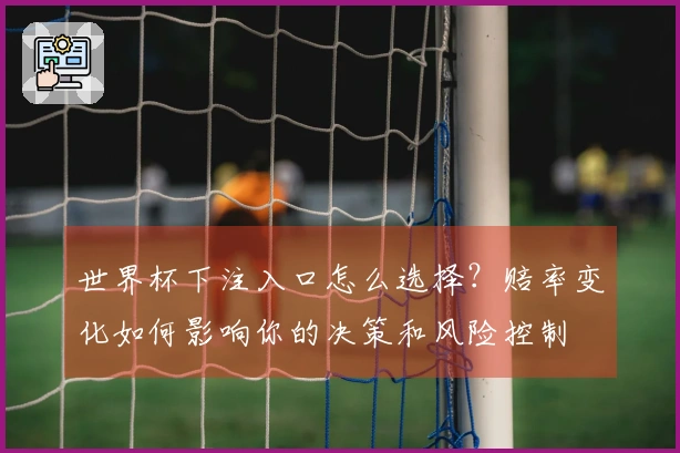 世界杯下注入口怎么选择？赔率变化如何影响你的决策和风险控制